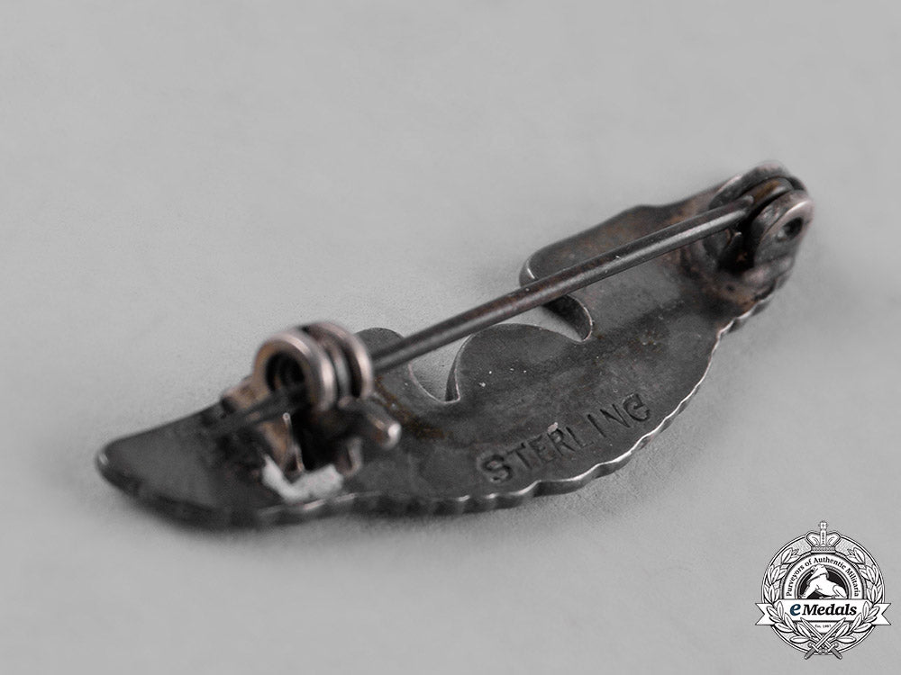 united_states._a_lot_of_united_states_army_air_force_miniature_wings_and_badges_c19-2733