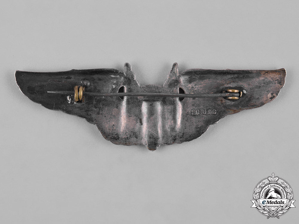 united_states._a_second_war_army_air_forces_aerial_gunner_badge_c19-2858