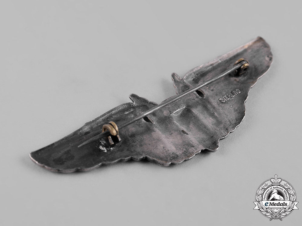 united_states._a_second_war_army_air_forces_aerial_gunner_badge_c19-2860