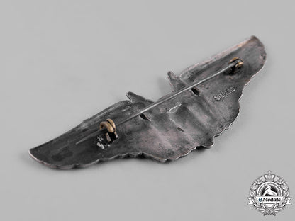 united_states._a_second_war_army_air_forces_aerial_gunner_badge_c19-2860