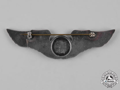 united_states._an_army_air_force_aircrew_badge,_c.1940_c19-2883