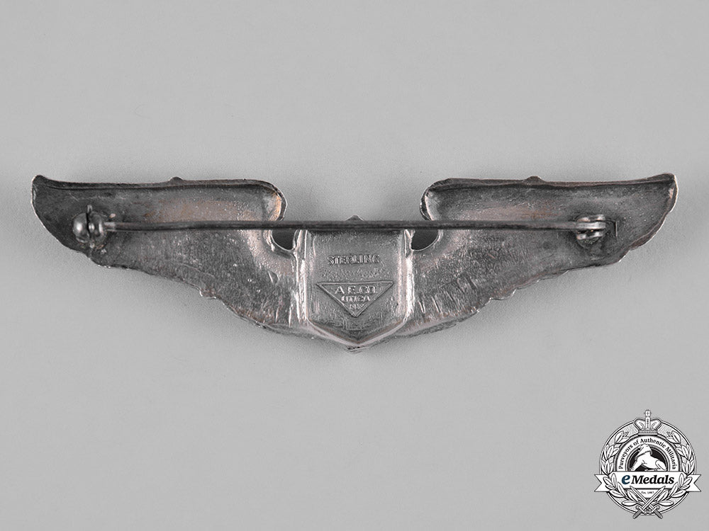 united_states._an_army_air_forces_pilot_badge,_by_a.e._co._c19-2979