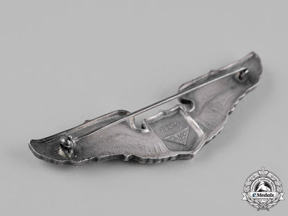 united_states._an_army_air_forces_pilot_badge,_by_a.e._co._c19-2980