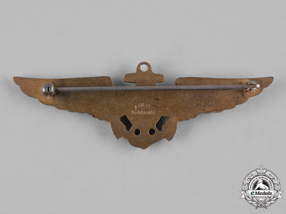 united_states._a_united_states_navy_and_marine_corps_naval_aviator_badge,_by_amico_c19-2989