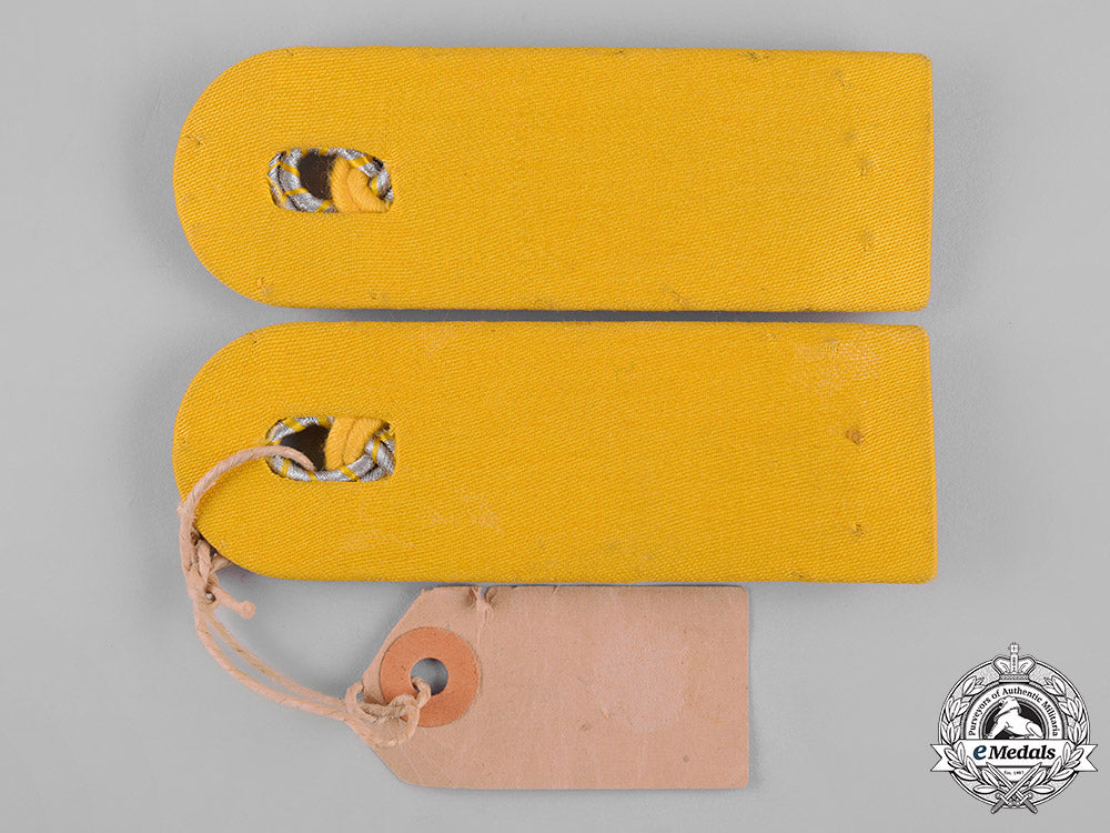 germany,_wasserschutzpolizei._a_pair_of_shoulder_boards_for_a_meister_of_the_wasserschutzpolizei_c19-4831