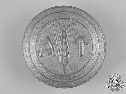 norway,_nasjonal_samling._a_labour_service(_arbeidstjenesten)_women’s_section_brooch_c19-5634