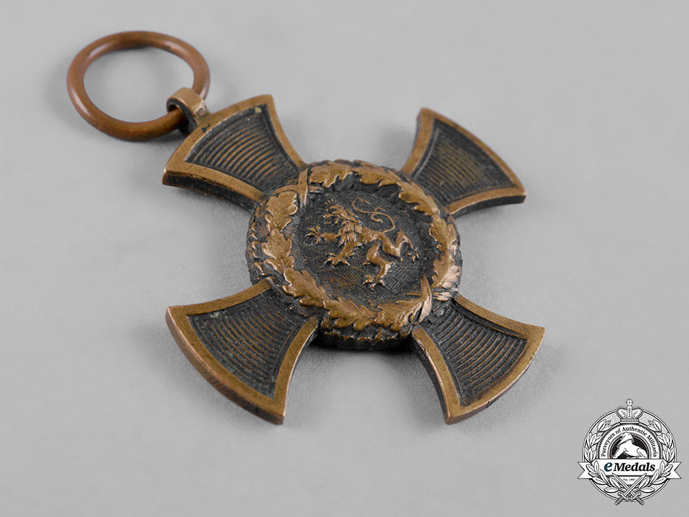 bavaria,_kingdom._an1866_austrian_campaign_commemorative_medal_c19-7428