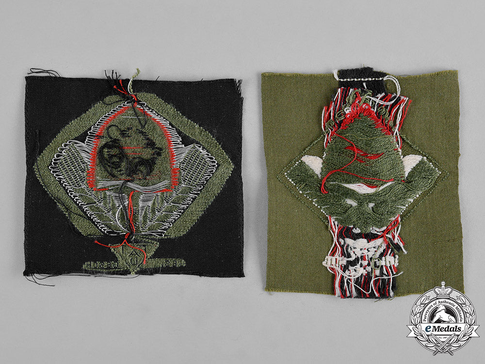 germany,_rad._a_pair_of_reich_labour_service(_rad)_cap_insignia_c19-8627