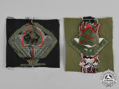 germany,_rad._a_pair_of_reich_labour_service(_rad)_cap_insignia_c19-8627