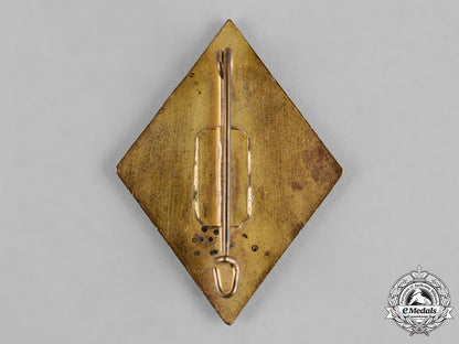 germany,_nskov._a_national_socialist_war_victims_care(_nskov)_gold_honour_badge_with_oak_leaves_c19-8654_1