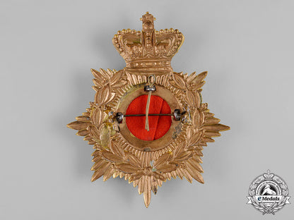 united_kingdom._a_victorian_the_border_regiment_officer's_home_service_helmet_plate_c19-9347
