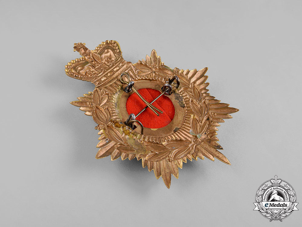 united_kingdom._a_victorian_the_border_regiment_officer's_home_service_helmet_plate_c19-9348