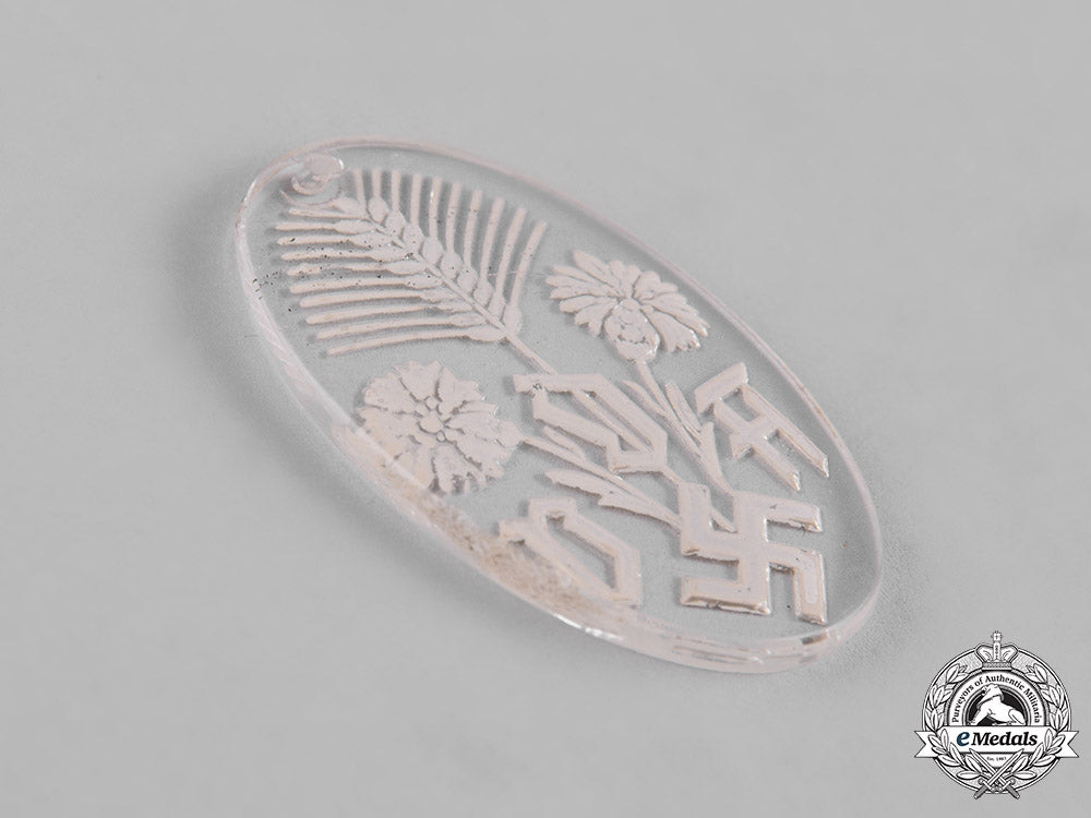 germany,_third_reich._a_lot_of_third_reich_period_badges_c19-9950