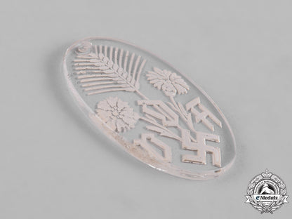 germany,_third_reich._a_lot_of_third_reich_period_badges_c19-9950