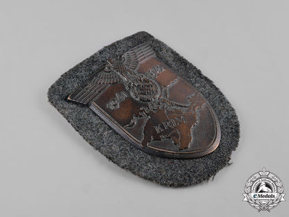 germany,_heer._an_army-_issued_krim_shield_c19_0922