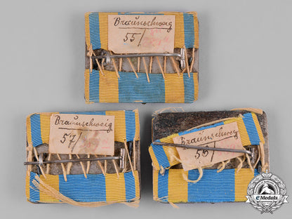 braunschweig,_dukedom._a_lot_of_fire_brigade_long_service_medals_c19_0939