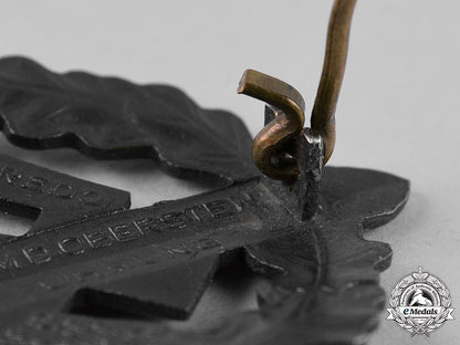 germany,_sa._a_sa_sports_badge_in_bronze_by_werner_redo_c19_1574