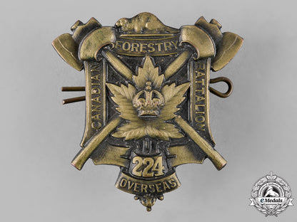 canada._a_first_war224_th_infantry_battalion_cap_badge_c19_1849