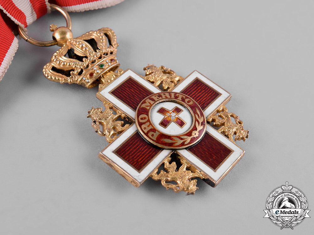 netherlands,_kingdom._a_cross_of_merit_of_the_red_cross,_c.1918_c19_2823_1_1_1