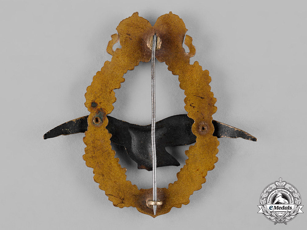 austria,_empire._a_field_pilot's_badge,_type_ii,_karl_i(1917)_c19_3024
