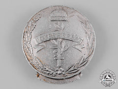 Hungary, Kingdom. A Merit Badge, Ii Class
