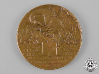 italy,_kingdom._a_women_of_libya_red_cross_table_medal1911-1912_c19_3800