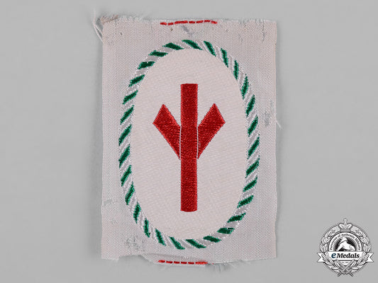 germany,_bdm._a_rzm-_marked_league_of_german_girls_health_service_group_sleeve_patch_c19_4257