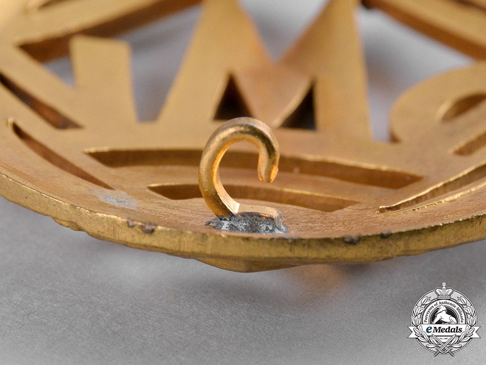 germany,_dmv._a_german_motorsports_association(_dmv)_golden_merit_badge_c19_4317