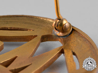 germany,_dmv._a_german_motorsports_association(_dmv)_golden_merit_badge_c19_4318