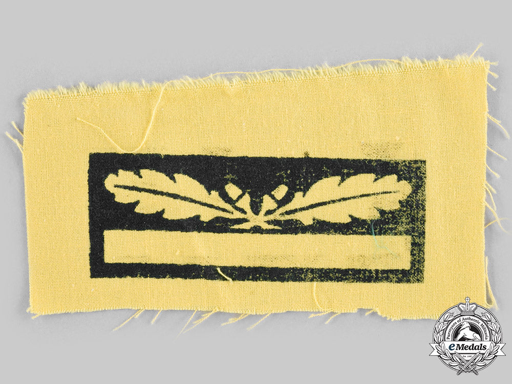 germany,_heer._a_generalmajor_arm_insignia_c20129_emd0769-_1__1_1_1_1_1_1