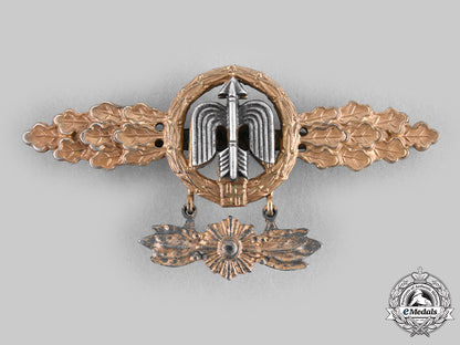 germany,_luftwaffe._a_short-_range_day_fighter_squadron_clasp,_gold_grade_with_hanger_c20194_emd2084_1