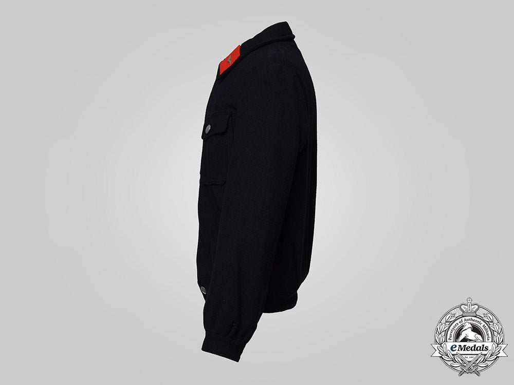 germany,_luftwaffe._a_flieger_flak/_artillery_service_blouse_c20197cbb_0064_1_1