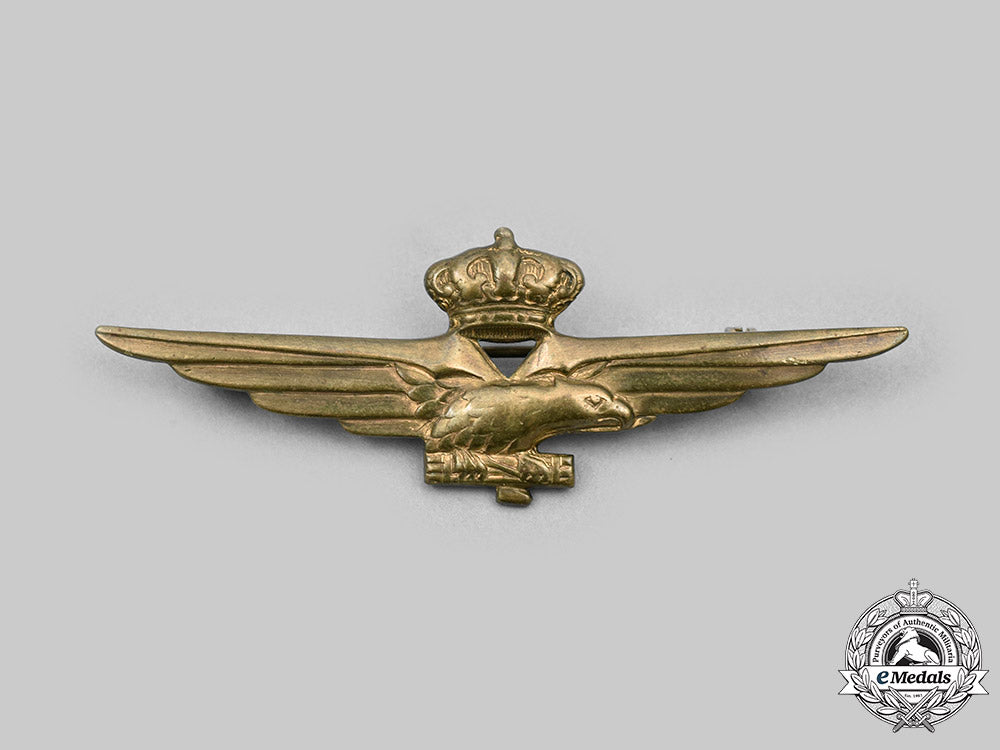 italy,_kingdom._a_pilot_badge,_c.1940_c2020_070_mnc7583_1_1_1_1_1