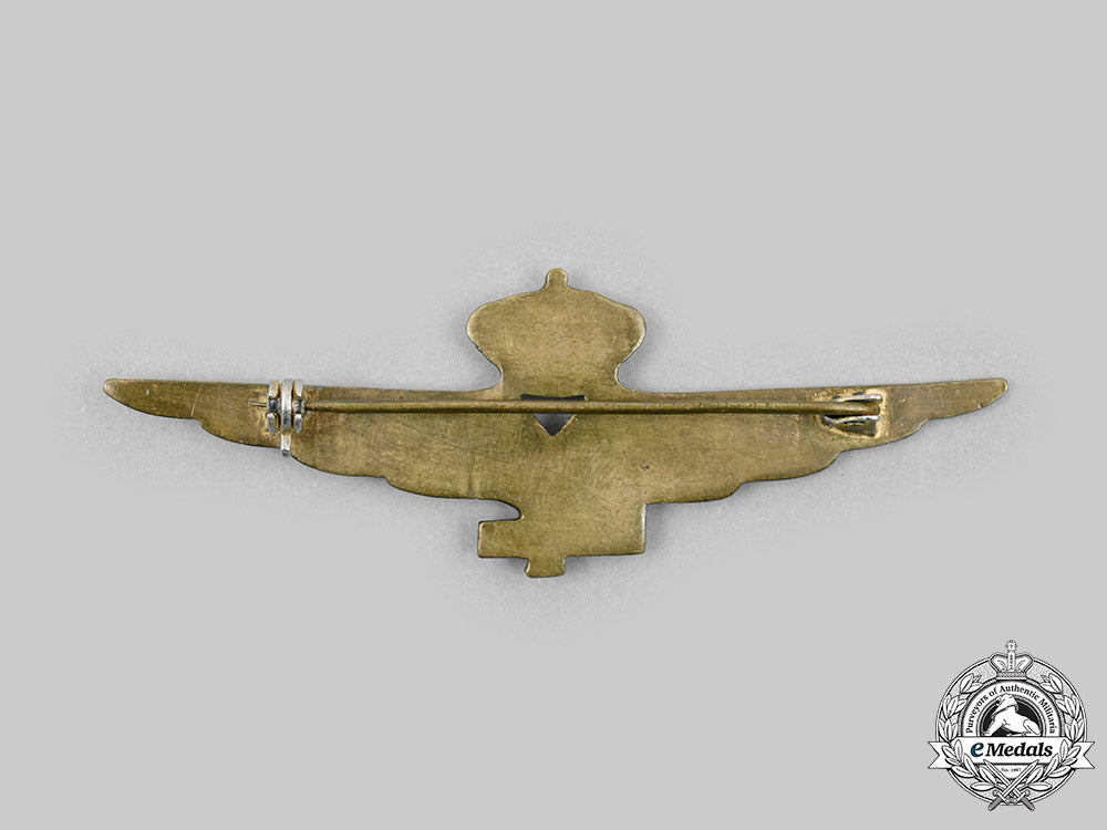 italy,_kingdom._a_pilot_badge,_c.1940_c2020_071_mnc7585_1_1_1_1_1