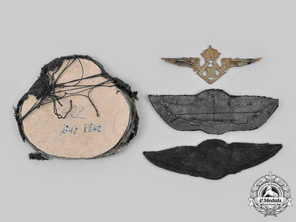 belgium,_portugal,_spain,_international._a_lot_of_four_air_force_badges_c2020_078_mnc7613_1