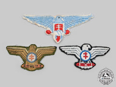 Slovakia, I  Republic. A Lot Of Uniform Eagle Insignia