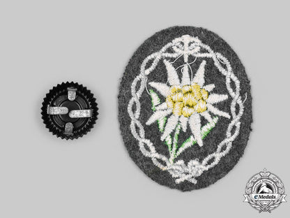 germany,_wehrmacht._a_pair_of_uniform_insignia_c2020_142_mnc0481_1