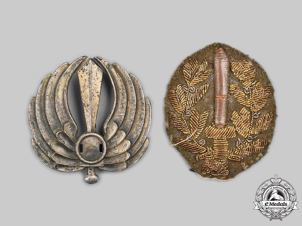 italy,_kingdom._two_combat_badges_c2020_258_mnc3126