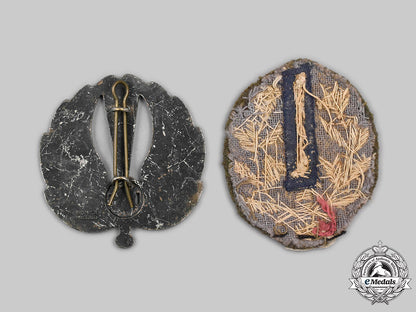 italy,_kingdom._two_combat_badges_c2020_259_mnc3128