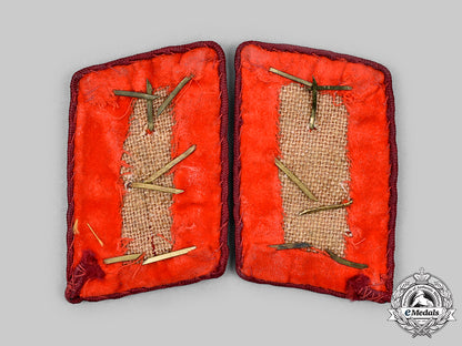 germany,_nsdap._a_set_of_gau-_level_oberbereichsleiter_collar_tabs_c2020_295_mnc0412_1