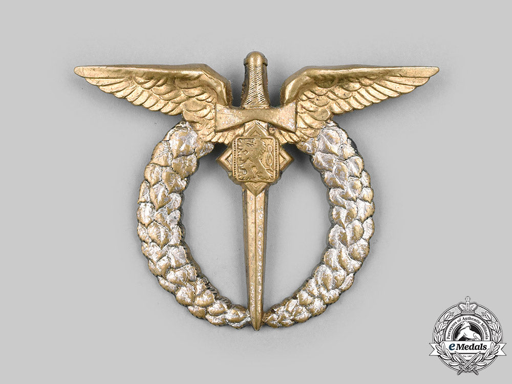 czechoslovakia,_i_republic._pilot_badge_c.1935_c2020_304_mnc0844_1_1_1