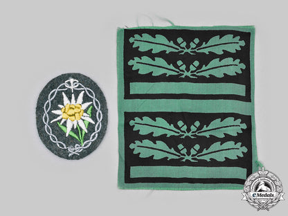 germany,_heer._a_pair_of_uniform_insignia_c2020_320_mnc2584_1