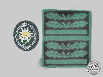 germany,_heer._a_pair_of_uniform_insignia_c2020_321_mnc2587_1