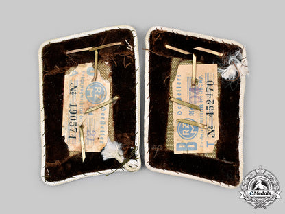 germany,_nsdap._a_set_of_kreis-_level_bereichsleiter_collar_tabs_c2020_377_mnc0342