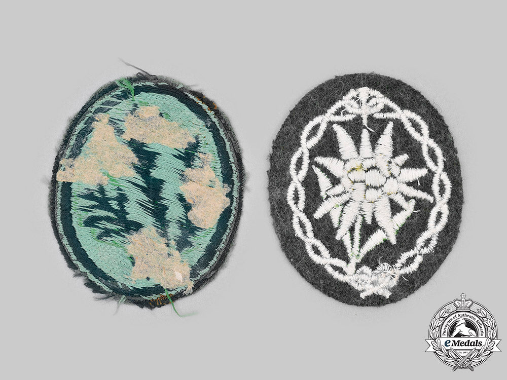 germany,_heer._a_pair_of_sleeve_insignia_c2020_441_mnc6229_1
