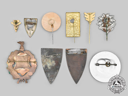 germany._a_mixed_lot_of_sudeten_german_badges_and_pins_c2020_582_mnc5647