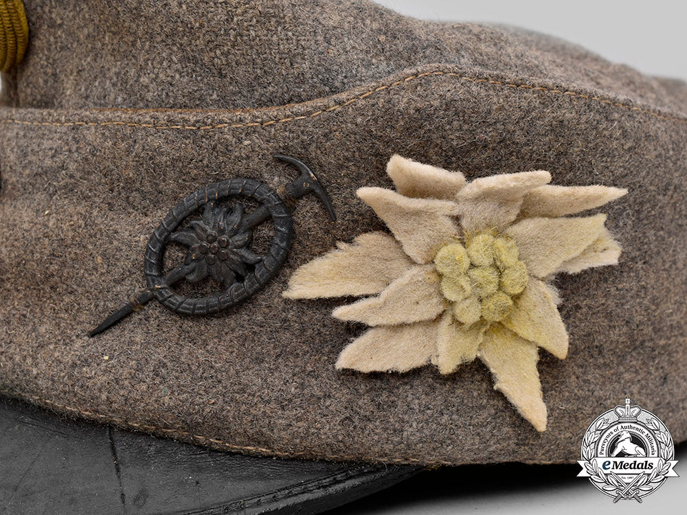 austria-_hungary,_empire._a_rare_bergführer_officer’s_field_cap,_with_insignia_c2020_740_mnc0383_1