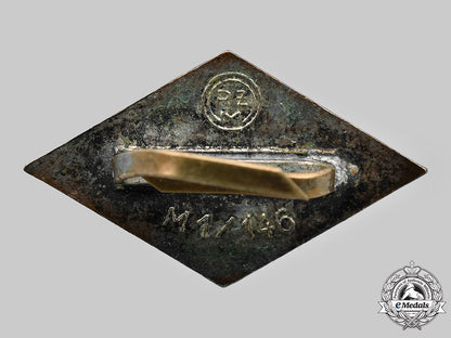 germany,_third_reich._a_pair_of_insignia_c2020_854_mnc6995_1