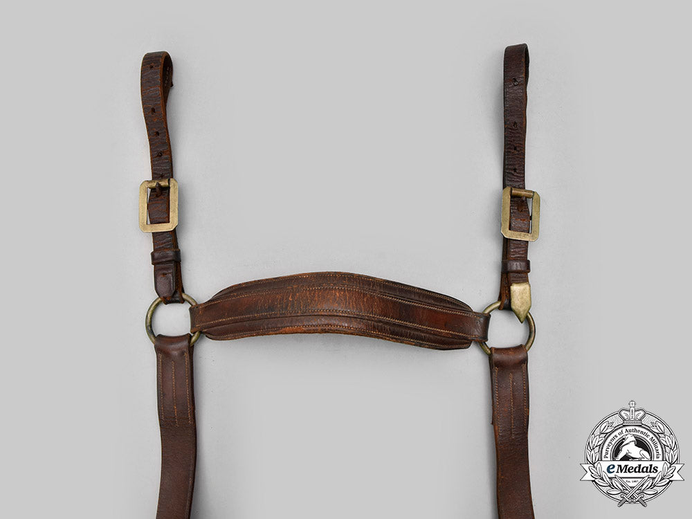 germany,_imperial._a_cavalry_horse_bridle,_c.1900_c2020_862_mnc4939_1