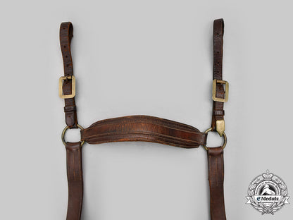 germany,_imperial._a_cavalry_horse_bridle,_c.1900_c2020_862_mnc4939_1